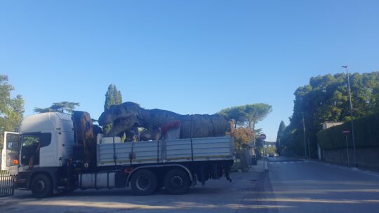 2025 – cosa buttare